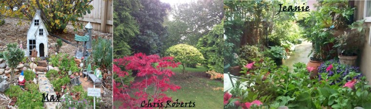 616 Blog C20 Plants 10in100ppi