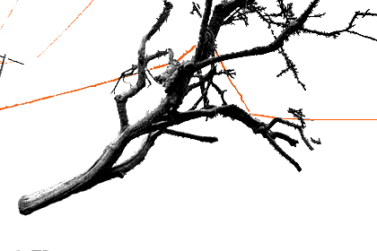 819 Blog tree pwrLines 20150209a 6in