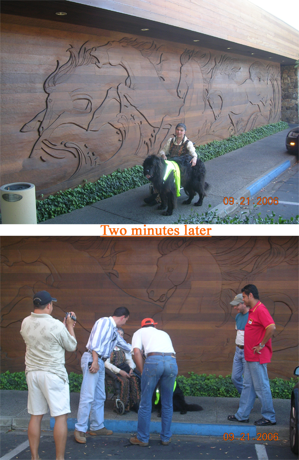 819 Blog 363c 3in200ppi