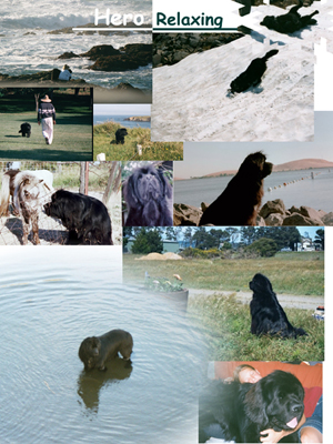 819 Blog 363e 2in150ppi