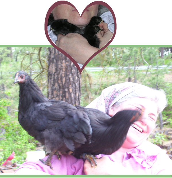 BabyChx 201203a 4in150ppi