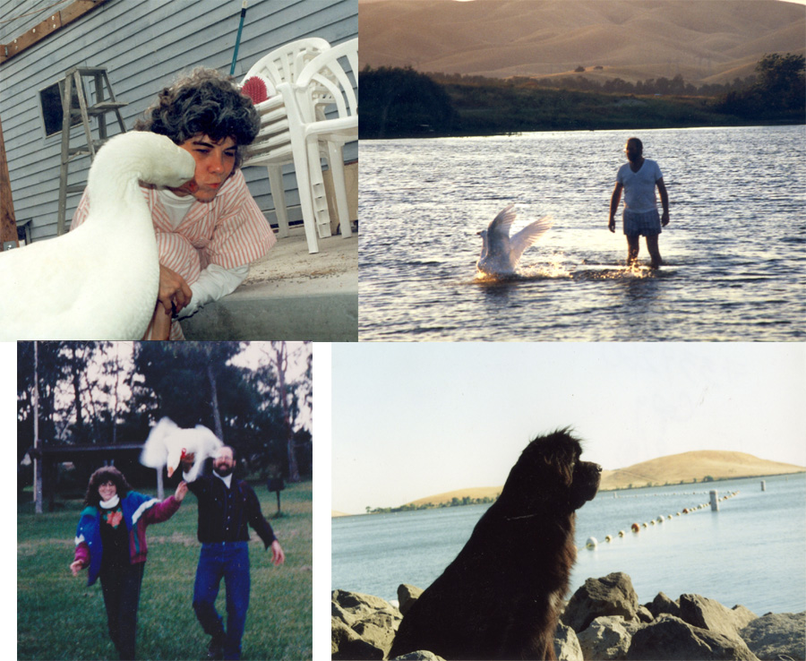 Peep n Hero Qurtet 20150303a 6in150ppi