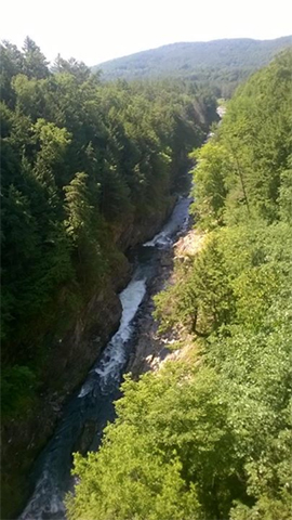 616 DonnaLynn ph20150712a 4in120ppi