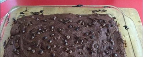 616 KerryK brownies 20150618a 3in200ppi