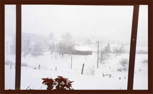 819BMPB 1988 Nov Closed Pic 4in125ppi