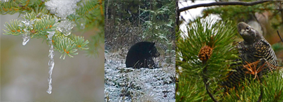 616 Gord blog 20151231e 4in100ppi