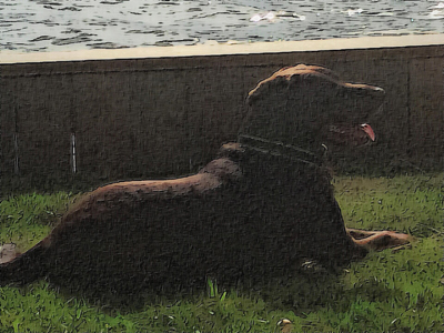 616 KevinSmiley PicTeddy20151217a 4in100ppi